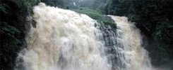 Abbi Falls - Madikeri